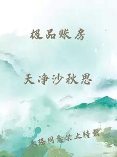極品賬房