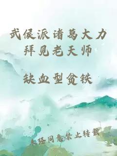 武侯派諸葛大力拜見老天師