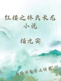 紅樓之林氏長兄小說
