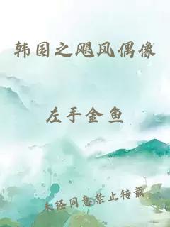 韓國之颶風偶像