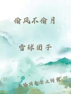 偷風不偷月